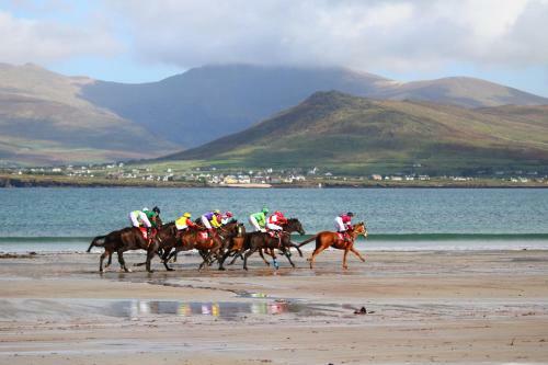 Hostal An Port�n Guest House And Restaurant