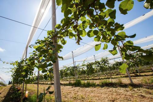 Agroturismo I Casali Della Parata