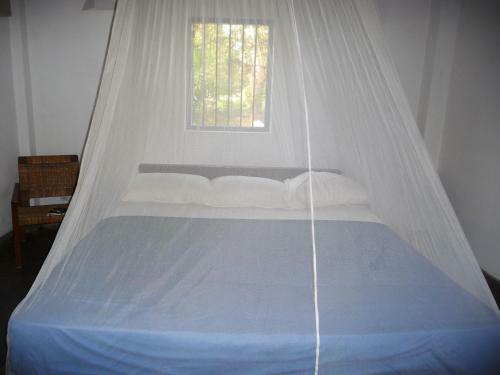 Hostal 15lmd