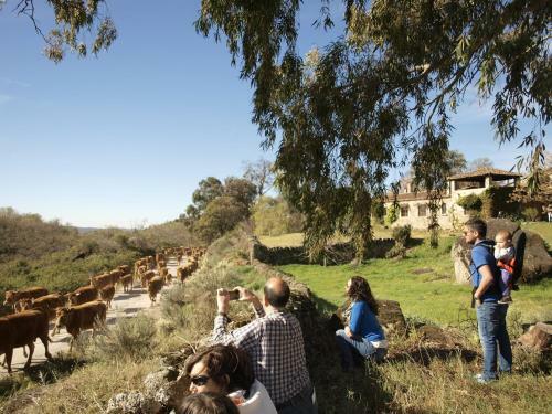 Agroturismo Casa Rural El Cabezo