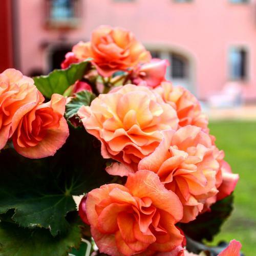 Hotel C� Rocca Relais
