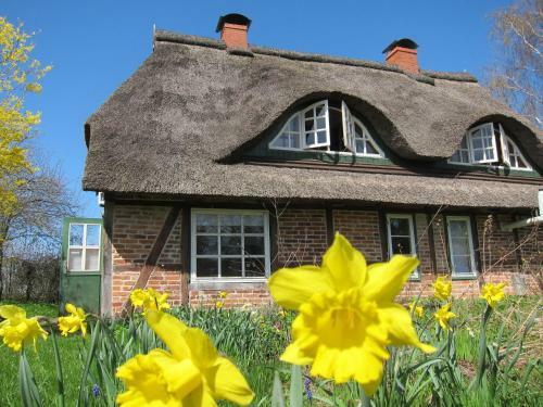 Big Holiday Home In Pronstorf Germany With Private Garden
