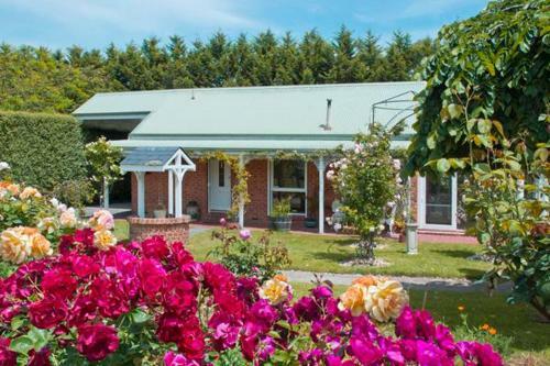 Lakeside Cottage Luxury B&B