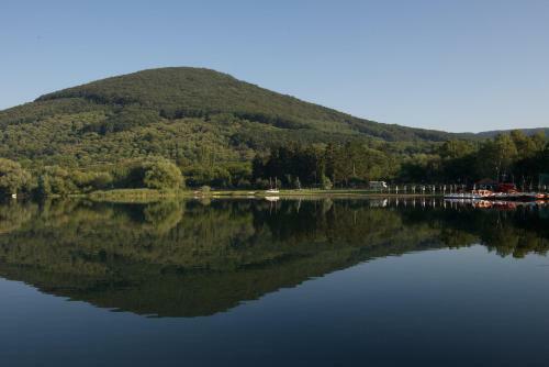 Hotel Albergo La Bella Venere