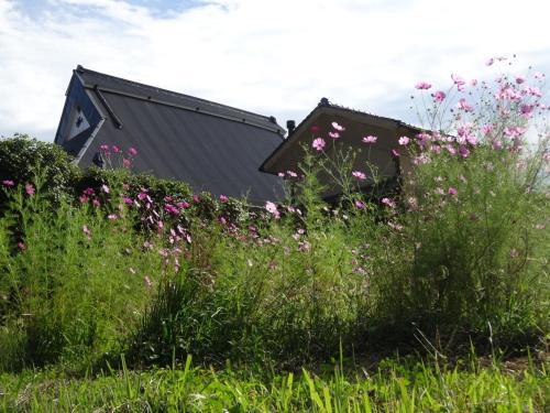 Agroturismo Furumaya House