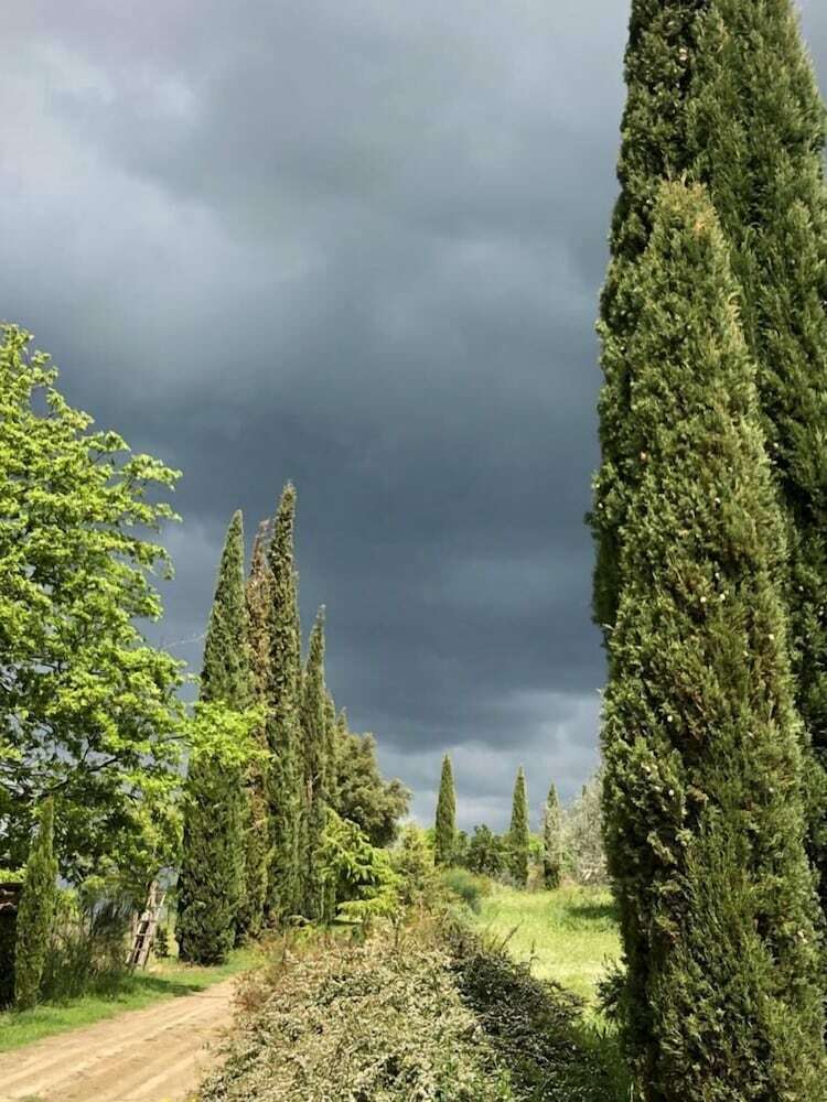 Agroturismo Podere Campovecchio
