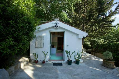 B&B Molino Del Gobbo