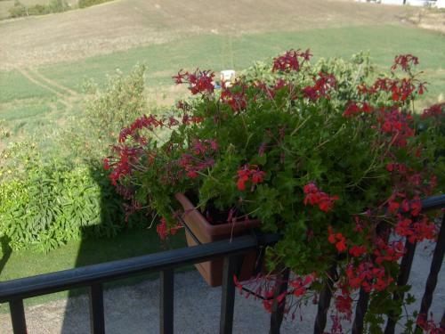 Agroturismo Casale Della Valle