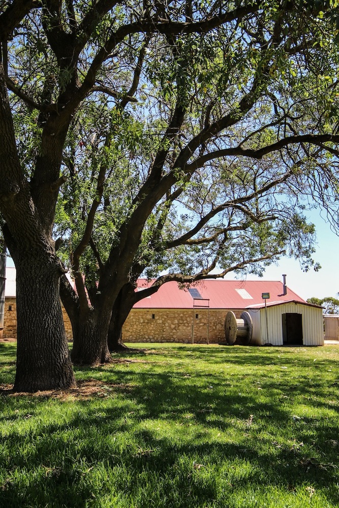Agroturismo Cape Jervis Station & Caravan Park