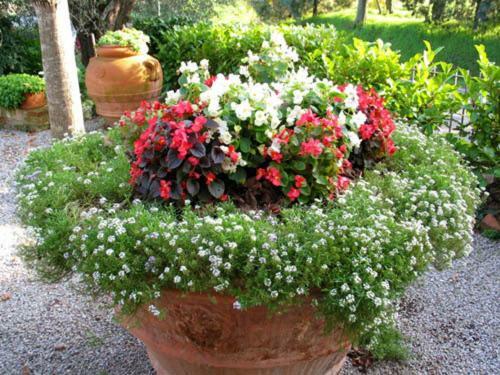 Agroturismo B&B Le Logge Di Sopra