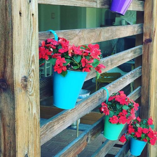 Bed & Breakfast La Corte Di Nonna Gemma