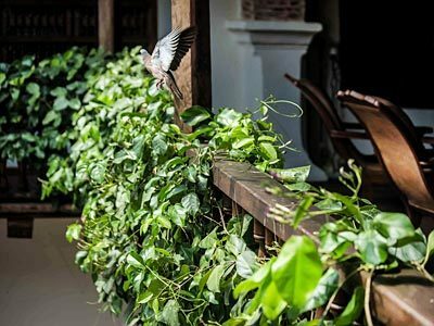 Hotel Boutique Casa Del Arzobispado