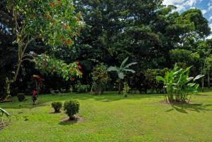 Hotel Volcano Lodge & Gardens