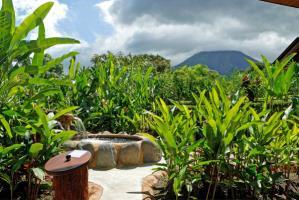 Hotel Volcano Lodge & Gardens