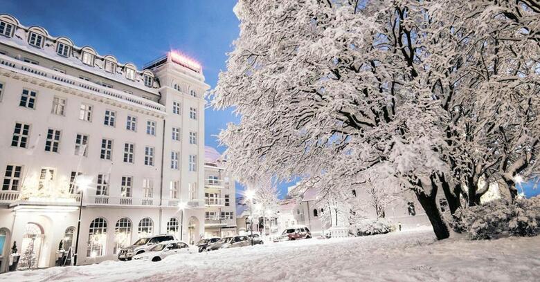 Hotel Borg