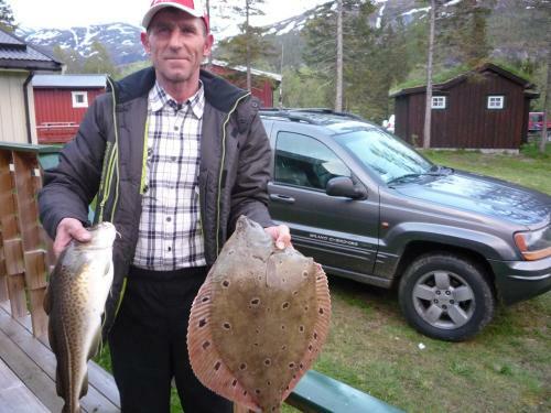 Tosbotn Camping & Cottages