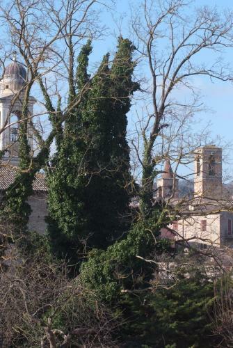 Apartamento B&B Pippinella