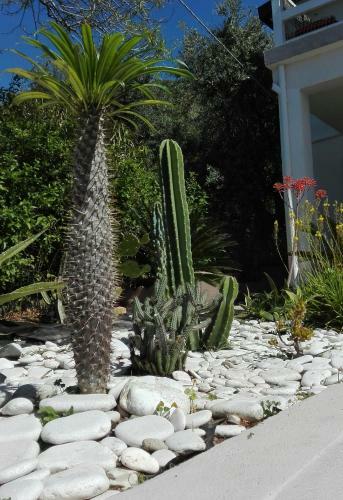 La Casa A Mare B&B