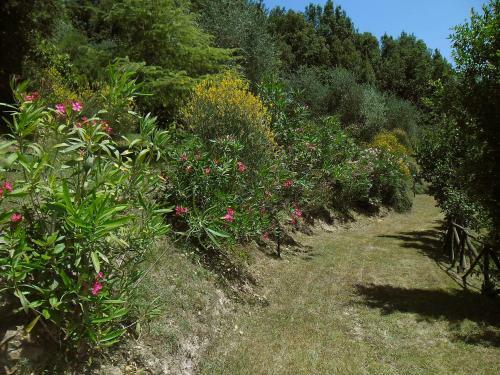 Holiday Home Il Casale Monticiano