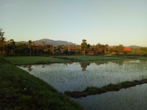 Lodge Indie House @ Maerim