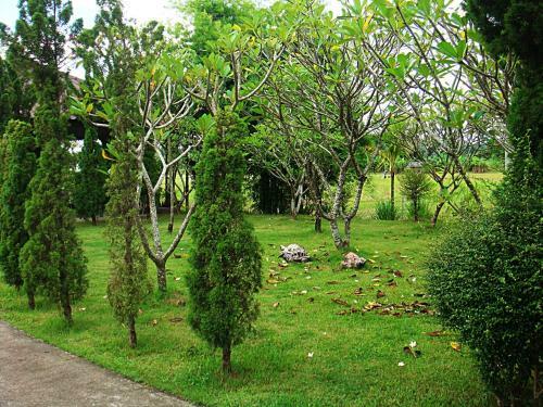 Lodge Indie House @ Maerim