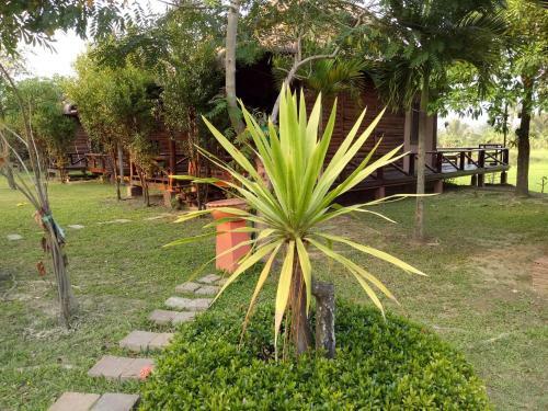 Lodge Indie House @ Maerim