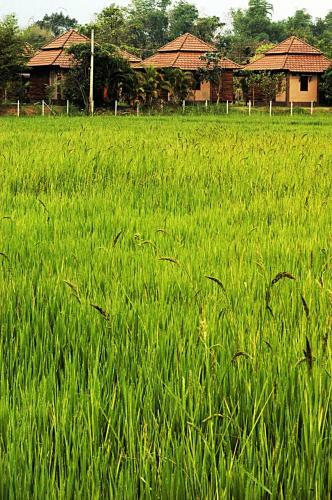 Lodge Indie House @ Maerim