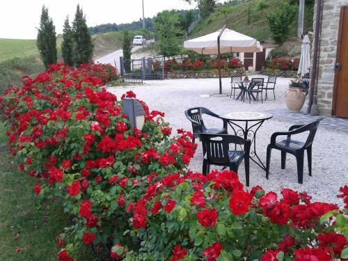 B&B Monticelli