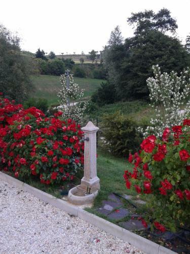 B&B Monticelli