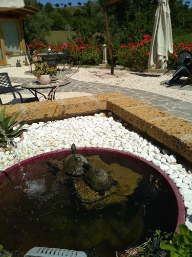 B&B Monticelli