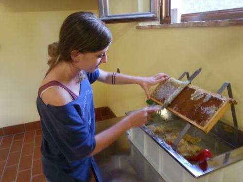Hostal Agriturismo Villa Mazzi