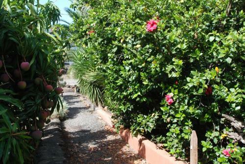 Apartamentos Finca Wapa