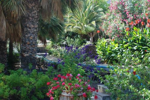 Apartamentos Finca Wapa