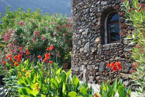 Apartamentos Finca Wapa