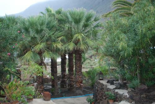 Apartamentos Finca Wapa