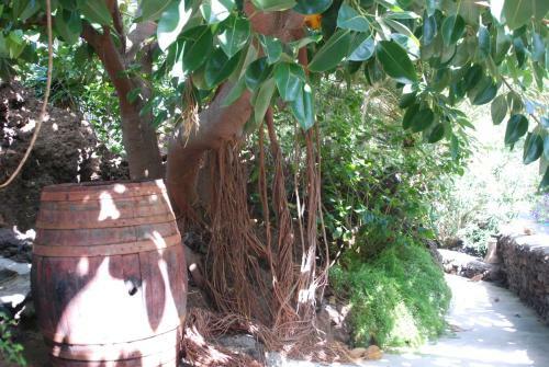 Apartamentos Finca Wapa