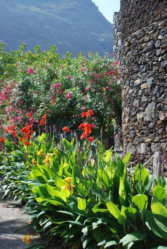 Apartamentos Finca Wapa