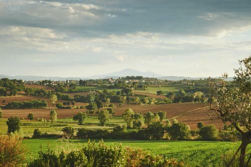 Hostal Casa Vacanze B&B Poggio Al Vento Toscana