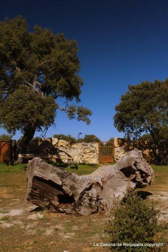 Agroturismo La Casona De Requijada