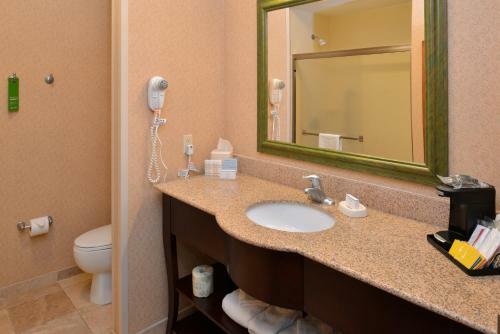 Hotel Hampton Inn & Suites St. Louis - Edwardsville