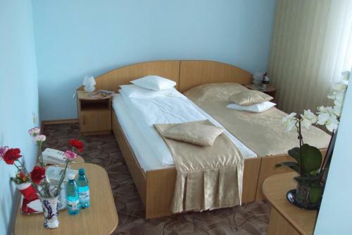 Hostal Pensiunea Warthe