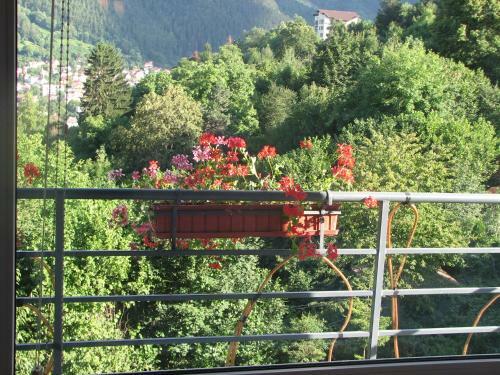 Hostal Pensiunea Warthe