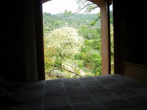 Agroturismo Colline Di Firenze Apartment
