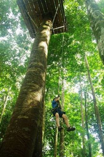 Lodge Osa Mountain Village Eco Resort