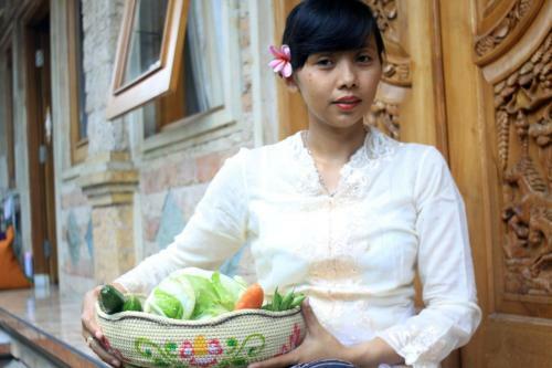 Hostal The Reinhold Guesthouse Bali