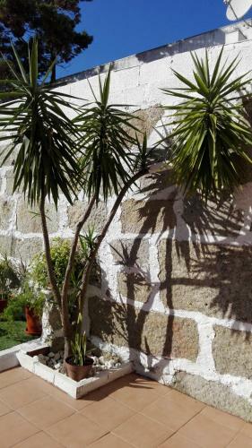 Metro Casa M�sica Apartments And Rooms