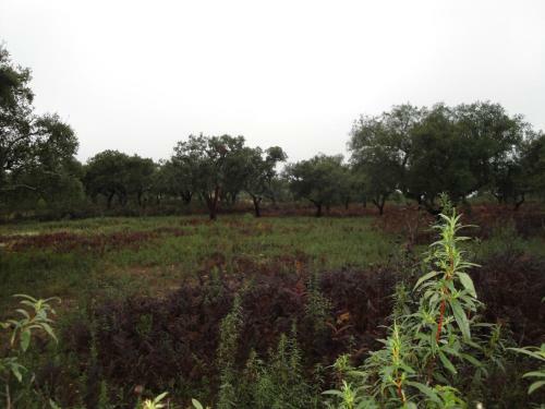 Agroturismo Casa Rural Sierra San Mamede