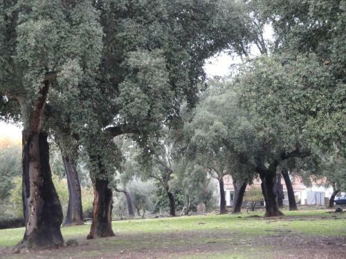 Agroturismo Casa Rural Sierra San Mamede