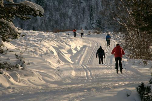 Rondane Spa Hotel Og Hytter