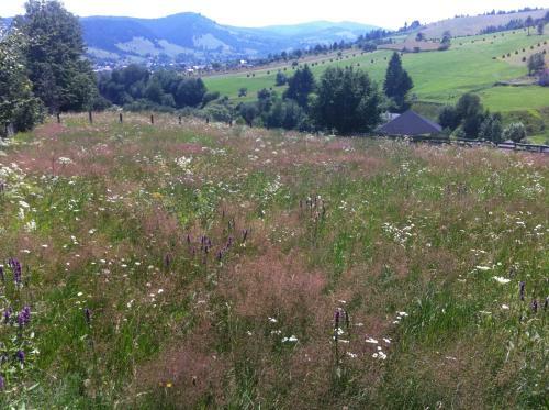 Hostal Pension Valentina